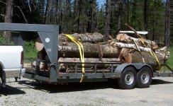 firewood 2013 001.JPG firewood 2013 001.JPG