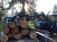 firewood load 2 2013 009.jpg