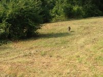 IMG_0297.jpg