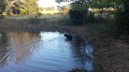 ForumRunner_20131117_121342.png