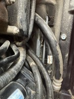 IMG_4080.jpeg