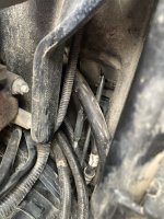 IMG_4081.jpeg
