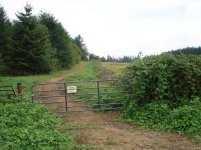 DSC00905.jpg