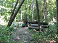 IMG_1813.jpg