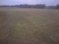 mowing%20hay%20meadow2.jpg