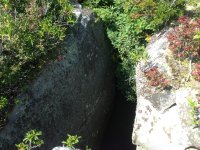 image-2951031799.jpg