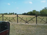 fence 2.jpg