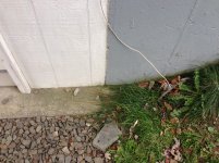 IMG_1298.jpg
