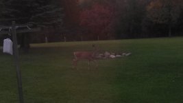 IMG_20131002_072418_647.jpg