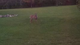 IMG_20131002_072656_903.jpg