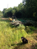 ForumRunner_20130828_212613.png