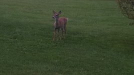 IMG_20131002_073018_075.jpg