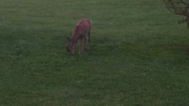 IMG_20131002_073023_940.jpg