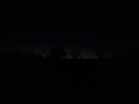 image-487512169.jpg