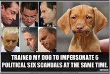 sex scandal dog.jpg