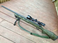 308.jpg