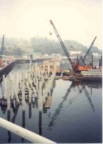 Concrete 2.jpg