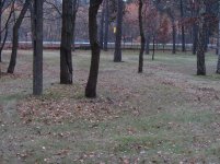 IMG_3069.jpg