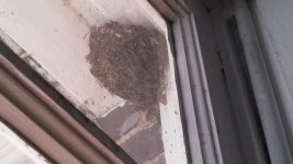 IMG_20131003_093025_864.jpg
