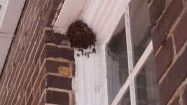 IMG_20131003_093232_769.jpg