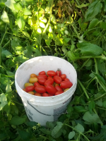 ForumRunner_20130829_210005.png