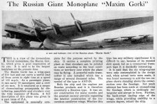 Ant-20-E.jpg