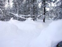 HotWalker & Corrals-Winter.jpg
