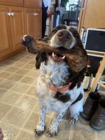 IMG_5799.jpeg