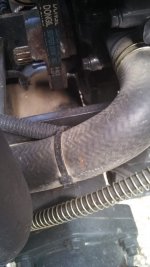 IMG_20131003_145558_856.jpg