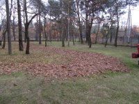 IMG_3017.jpg