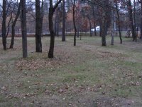 IMG_3070.jpg