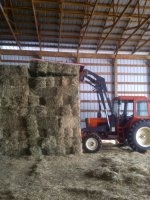 bale head.jpg
