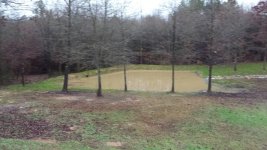 20131209_172335.jpeg