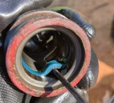 gland-inside-easy.jpg gland-inside-easy.jpg