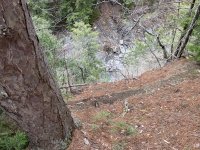 IMG_0230.jpeg