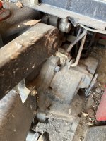 IMG_0117.jpeg