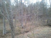 2012-01-08 16.06.50.jpg