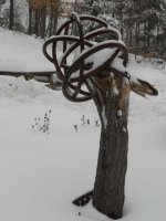 DSCN1065.jpg