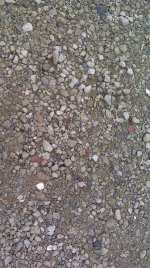 IMAG0788.jpg