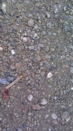 IMAG0787.jpg