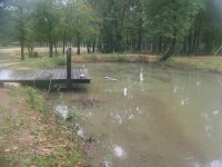 10-30-13 Small Pond Overflowing.jpg