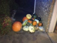 image-4279812350.jpg