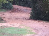 road oct 31.jpg