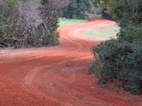 Road oct 30.jpg