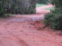 Road4 oct31.jpg