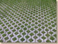 turfstone.jpg