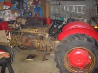 IMG_3175.JPG