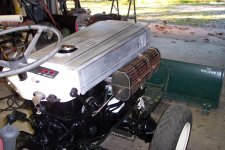 Bolorean3.JPG