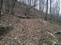 IMG_0528.JPG