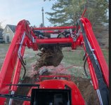 Stump.JPG